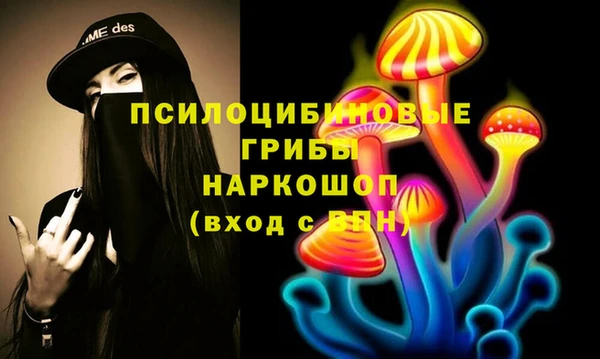 2c-b Армянск