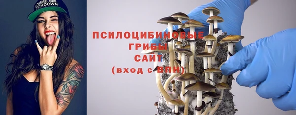 2c-b Армянск