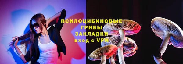 эйфоретик Аркадак