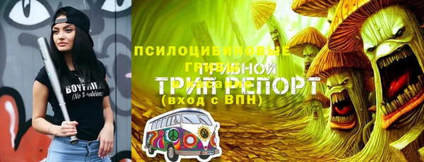 эйфоретик Аркадак
