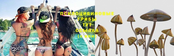 эйфоретик Аркадак