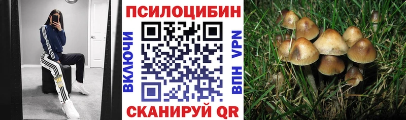 Псилоцибиновые грибы мицелий  Темрюк 